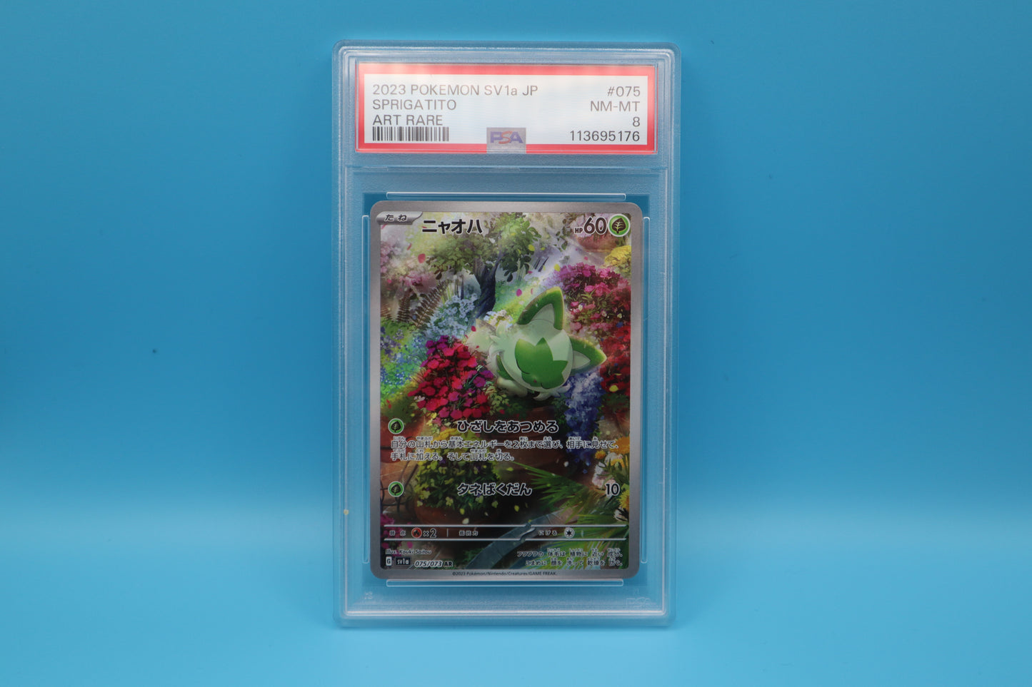 PSA 8    Sprigatito - Triplet Beat SV1a - Japanisch - PSA 8